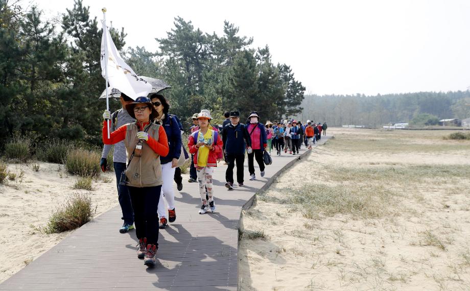 ‘바람과 모래가 빚은 예술’, 태안군 신두리 사구축제 22일 개최