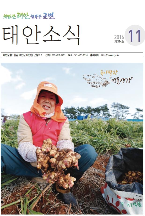 태안소식 2016년 11월호