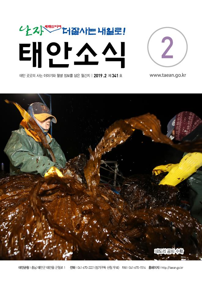 태안소식 2019년 2월호