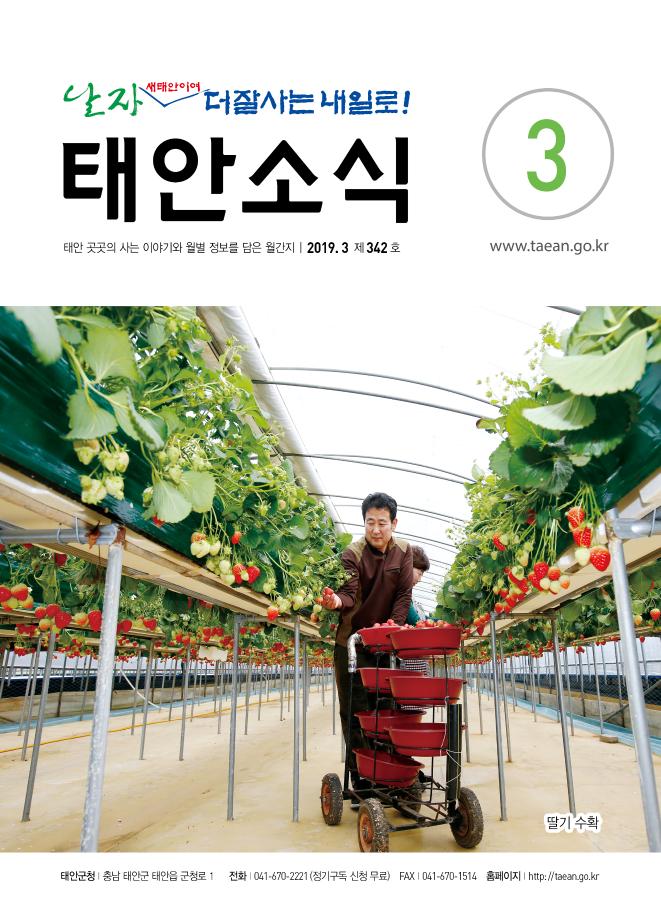 태안소식 2019년 3월호
