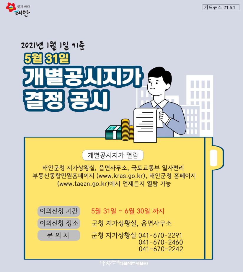 개별공시지가 결정 공시
