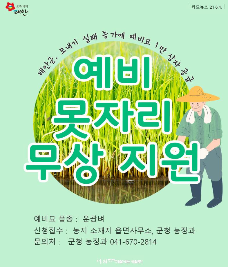 예비못자리 무상 지원!