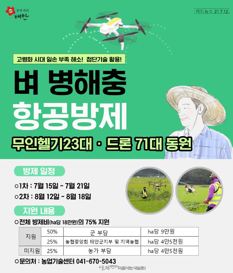 벼 병해충 항공방제 실시