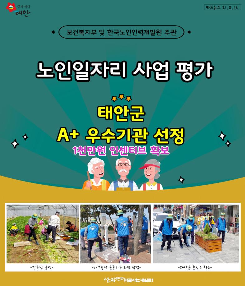 노인일자리 사업평가 태안군 A+우수기관 선정!