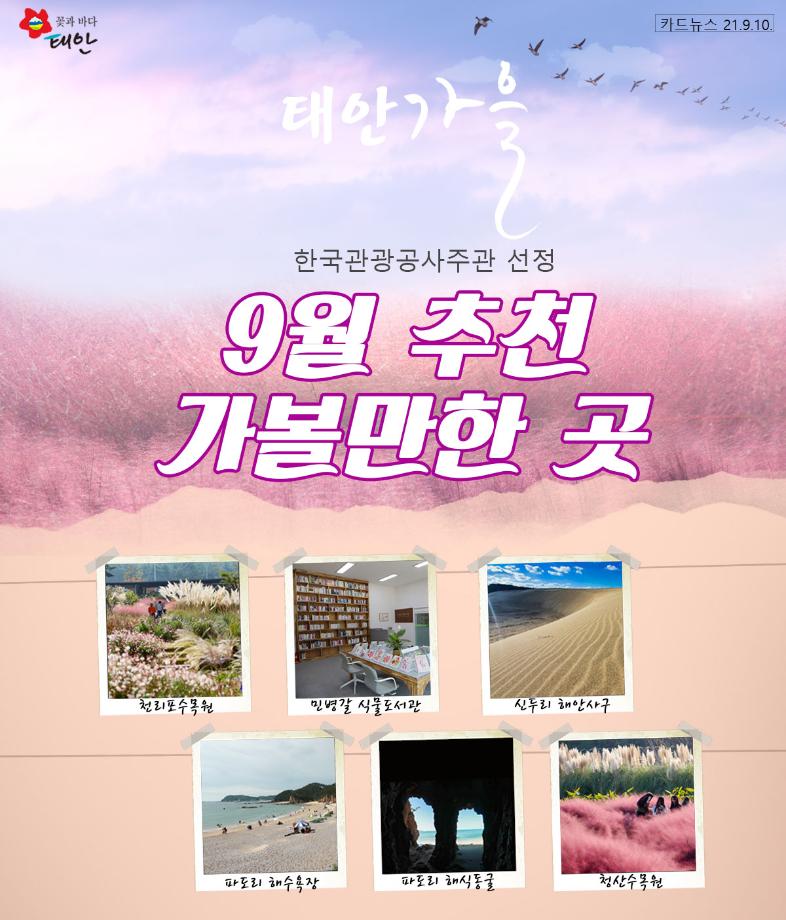 9월 추천 가볼만한 곳!