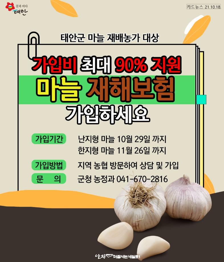 태안군, 마늘 재해보험 가입하세요!