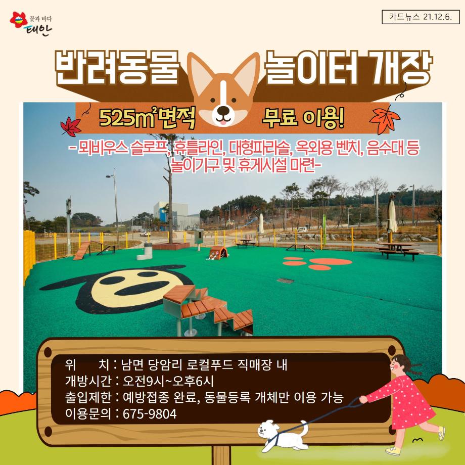 반려동물 놀이터 개장