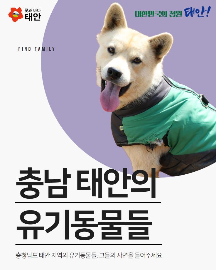 유기동물 입양홍보