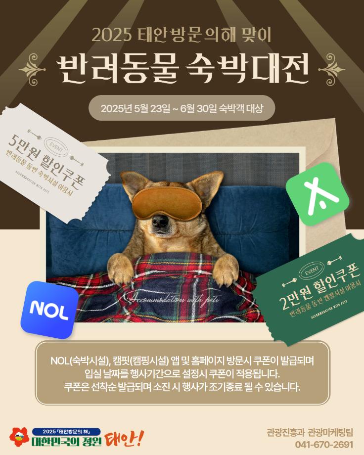 반려동물 숙박대전 개최