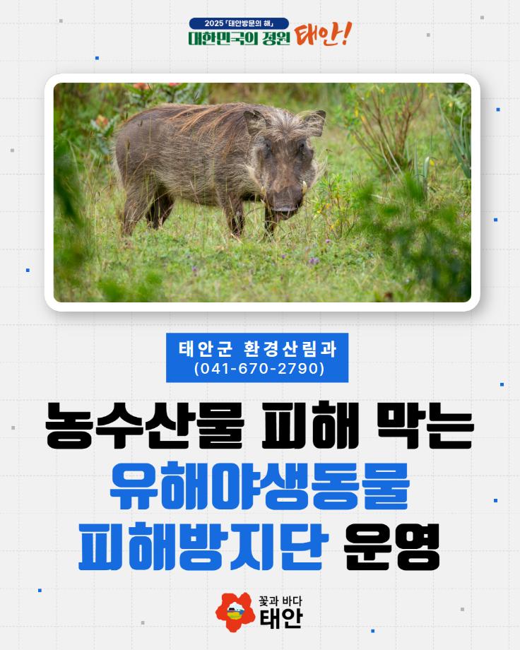유해야생동물 피해방지단 운영안내