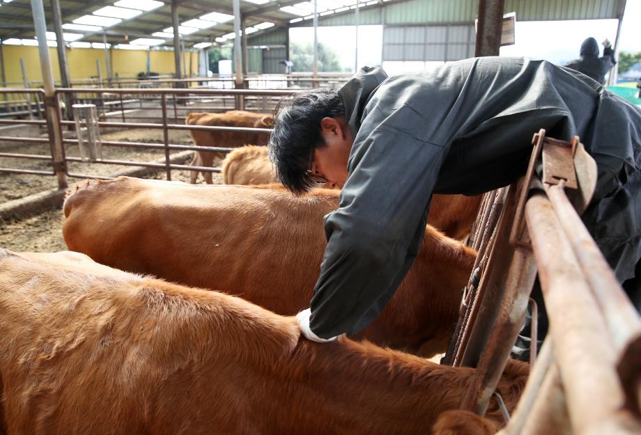 태안군, 영세 축산농가 대상 ‘찾아가는 질병관리’ 추진