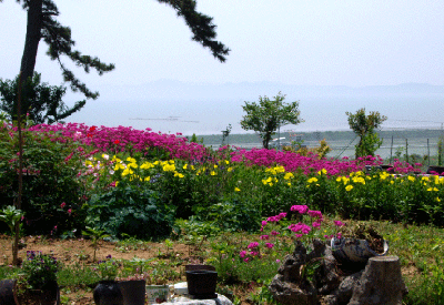 뜨락애