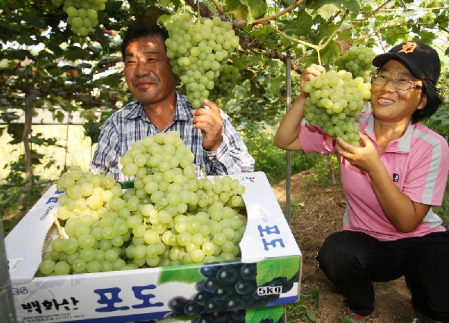 백화산농원