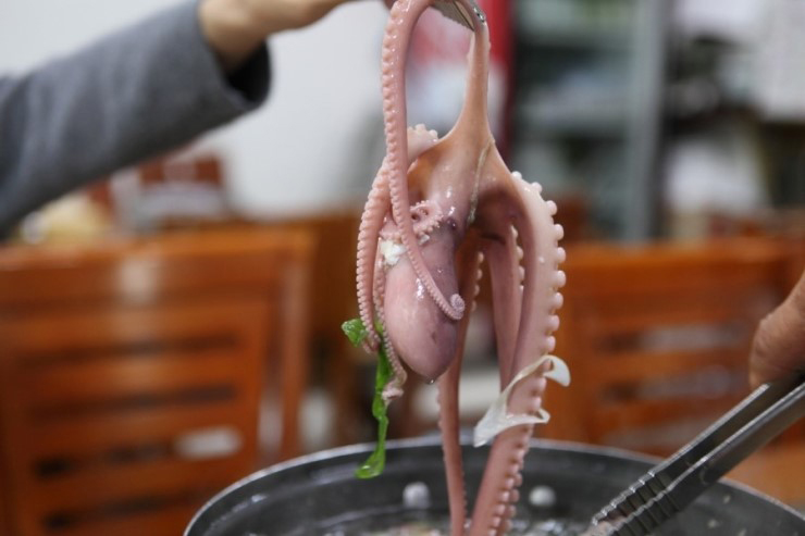 태안박국속낙지 원풍식당