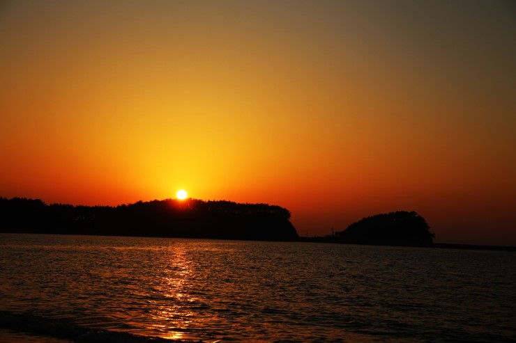 태안의 밤을 찾아서