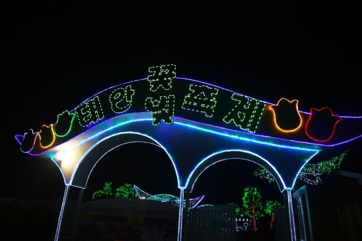 태안의 밤을 찾아서 2. (태안 빛 축제)