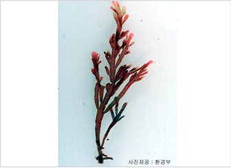 개서실
