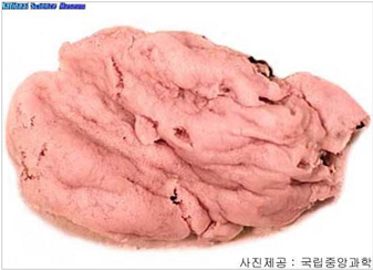 회색해변해면