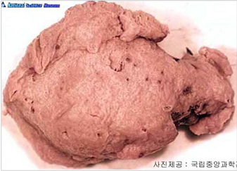 주황해변해면