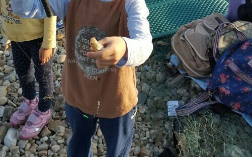 안흥항신진도낚시