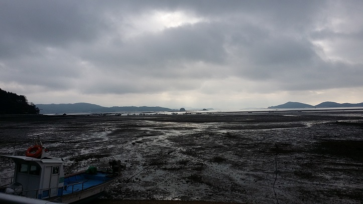 친구처럼 편안한 이름 가경주항
