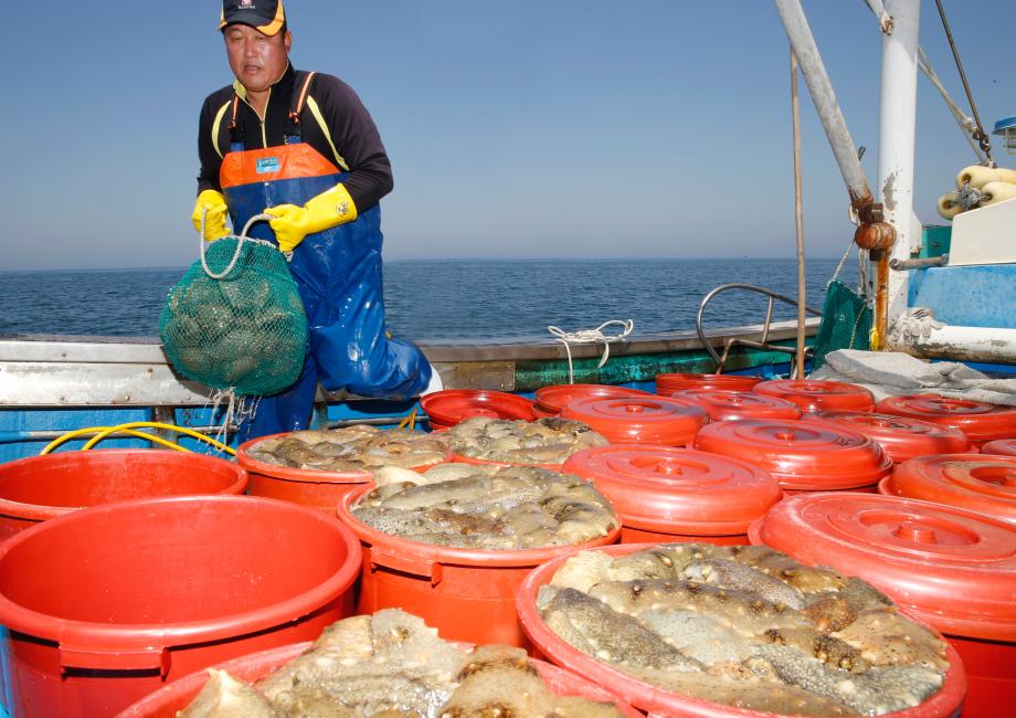 태안군, ‘수산식품산업의 메카’로 떠오르다!