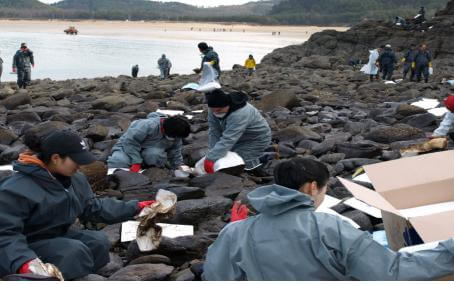솔향기길을가다