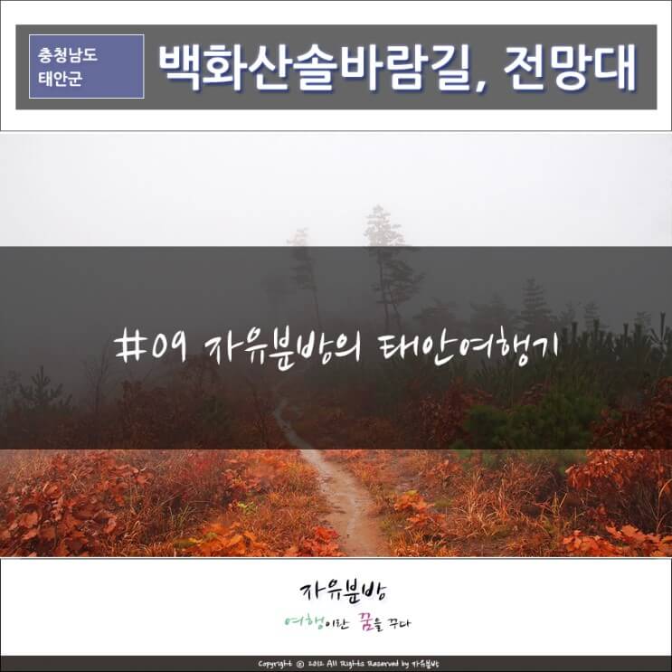 백화산 솔바람길 따라 '전망대'로 향하다 - 태안군 여행