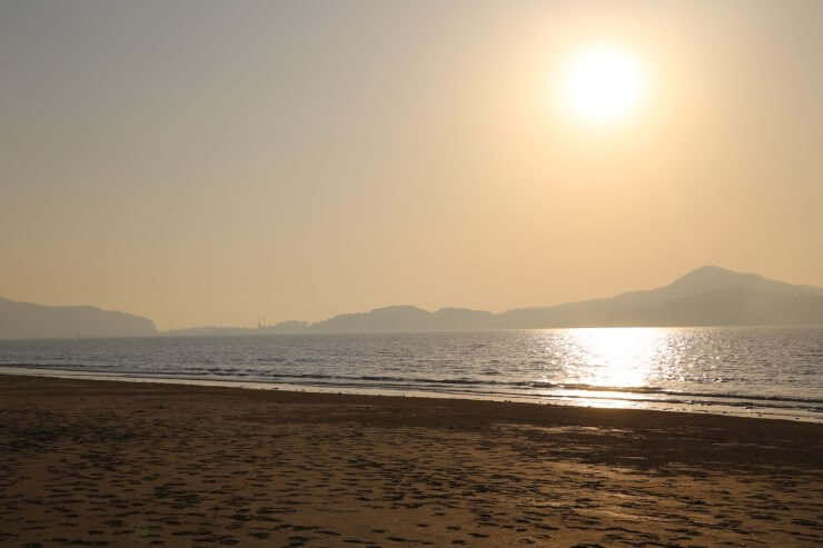 바람과 모래가 빚어낸, 한국의 사막 신두리 해안사구