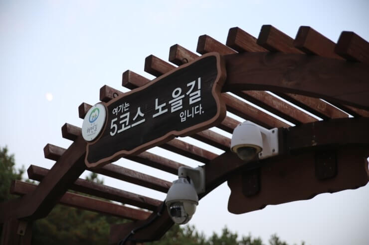 바다 곁을 거닐며 석양과 솔숲을 감상할 수 있는 노을길, 기지포 해변