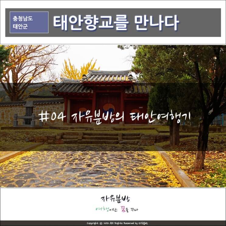 노랗게 물들어가는 태안향교를 만나다.