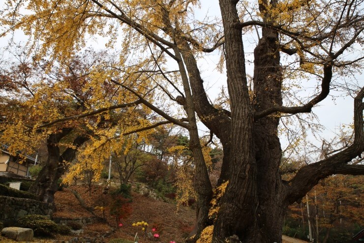 낙조의 아름다움에 취하고, 흥미로운 옛이야기를 벗삼는 곳. 겨울 바닷길 여행, 태안으로 떠나보자