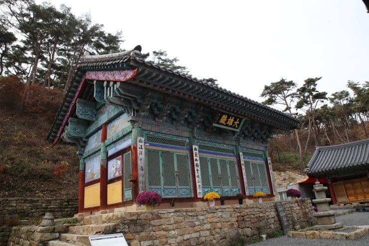 900년의 깊은 전설을 품고있는, 태안 흥주사 은행나무