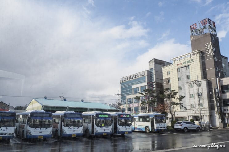 [태안여행]버스기사 아저씨와 팜카밀레허브농원 사람들