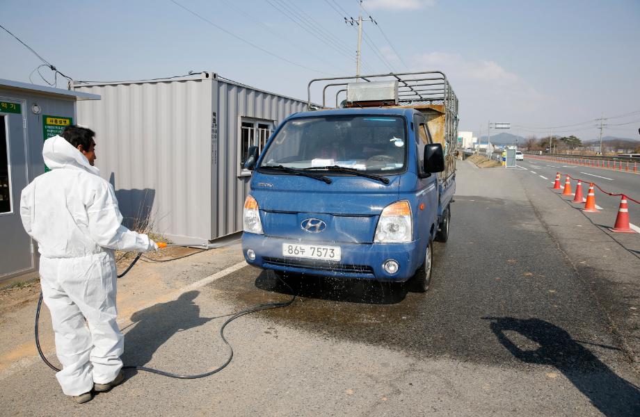 태안군, AI 유입 방지 ‘총력전!’