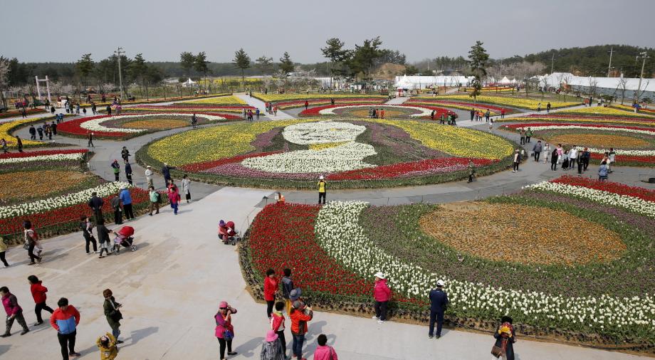 태안군 꽃축제·빛축제, 지난해 입장객 52만 명 돌파