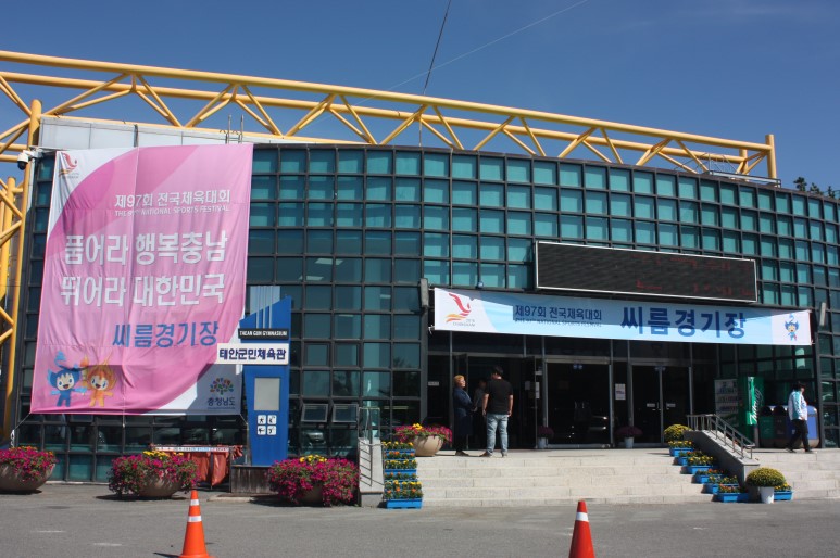 태안군에서 열리는 전국체전 씨름과 골프현장!