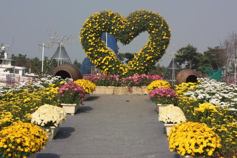 꽃향기 가득한 태안가을꽃축제에 초대합니다!