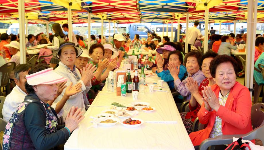 태안군, 지역 노년층 삶의 질 향상에 앞장!