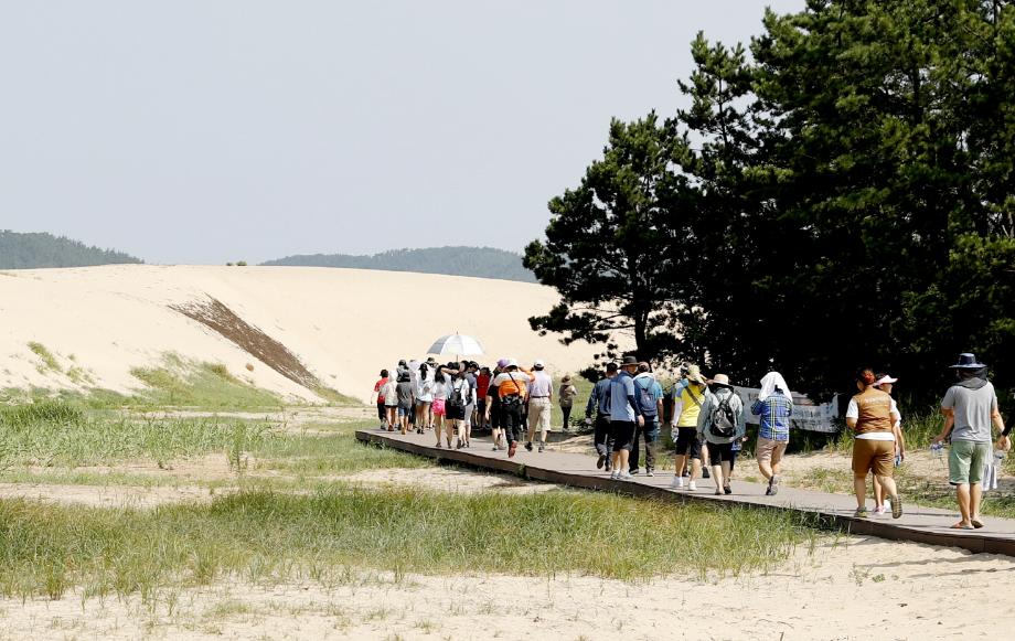 태안군, 신두리 해안사구 생태체험학교 운영