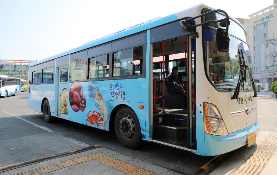 태안군, 새롭게 단장한 농어촌버스 ‘눈에 확 띄네!’