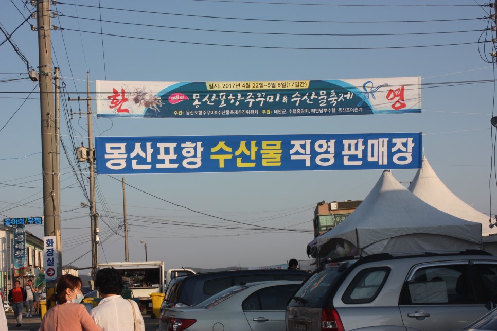 몽산포항 주꾸미&수산물 축제가 열렸습니다!