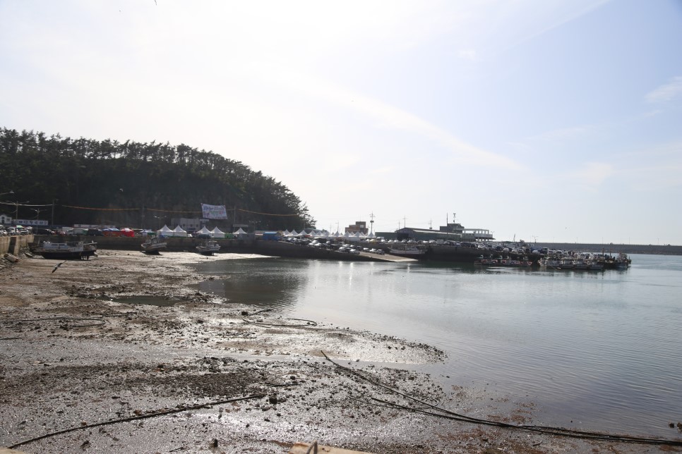 [태안축제]모항항해삼축제를 즐겨요!!!
