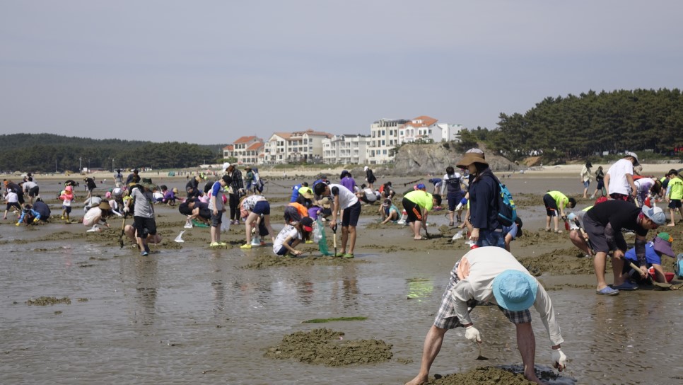 [T-Style] 힐링하는 안면도 가족여행(1박2일/당일 코스)