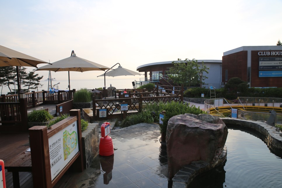 [T-Style 여행] 안면도 자연송림 바베큐 파티 [리솜오션캐슬]