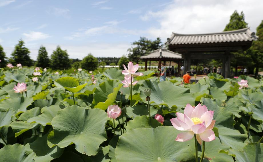‘볼거리 즐길거리 가득’, 여름휴가는 태안으로!
