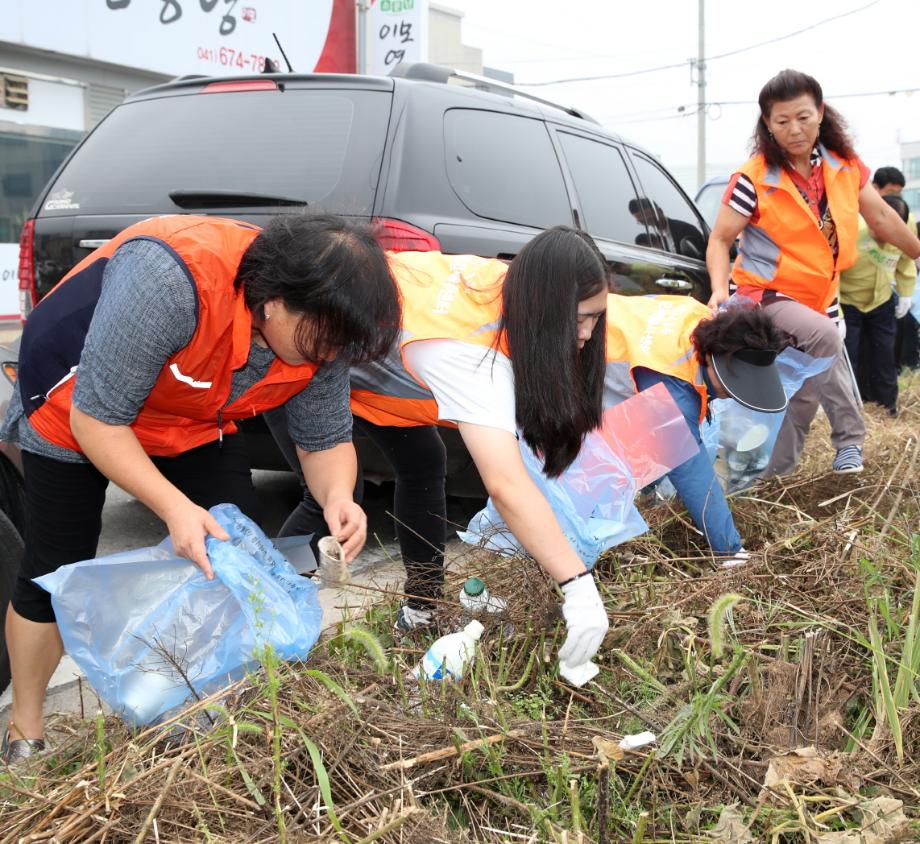 태안군, ‘10일 연휴도 빈틈없이!’ 추석맞이 환경정화 온힘