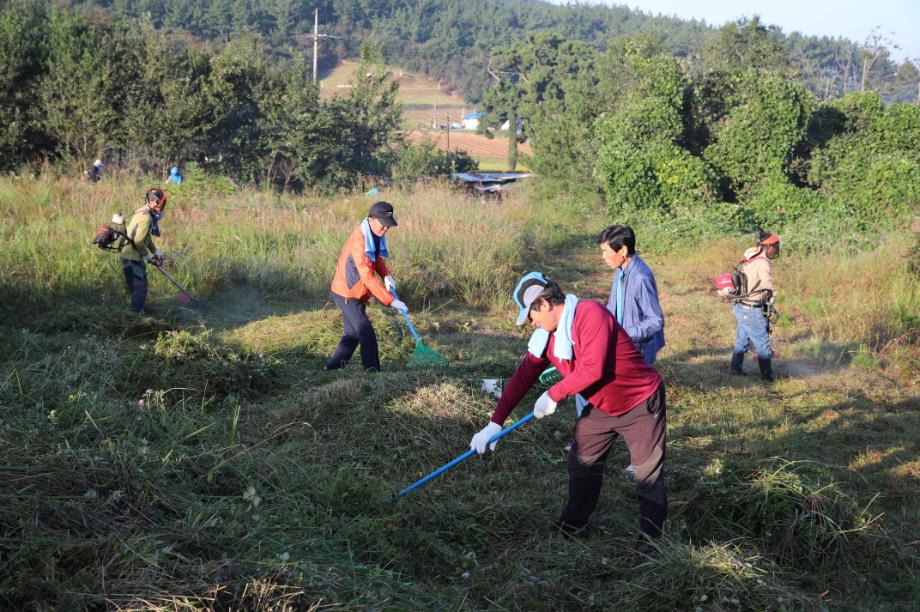 태안군, 안전하고 편안한 추석명절 만들기 ‘총력’