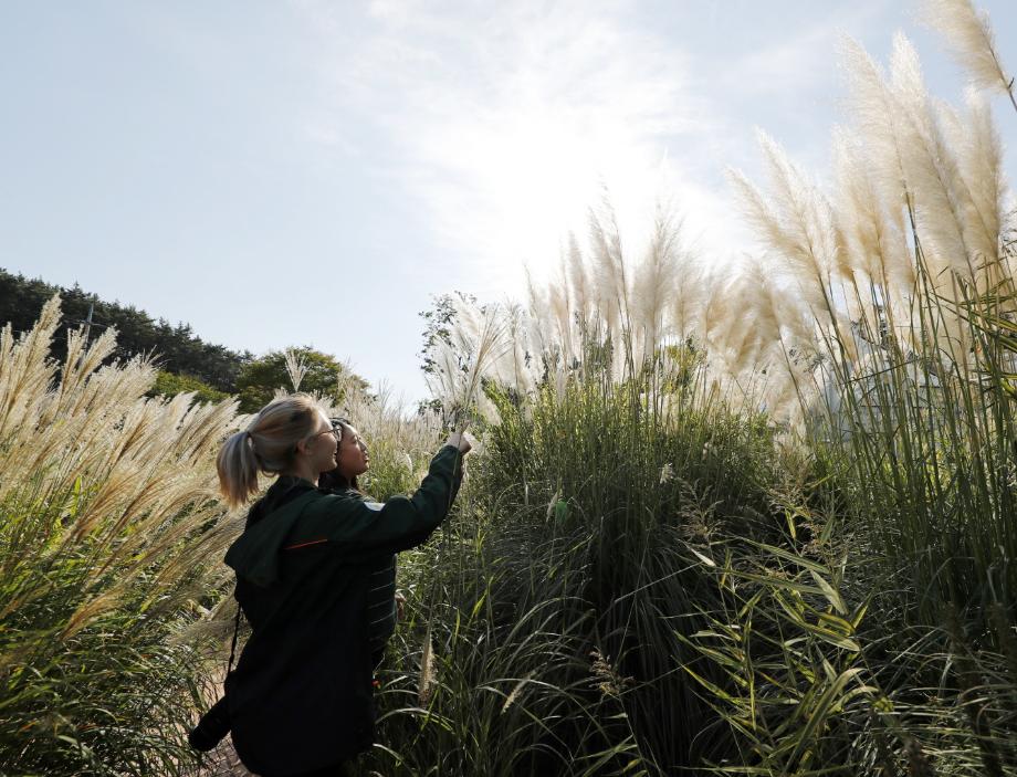 추석 황금연휴, 태안반도로 떠나는 가을 여행!