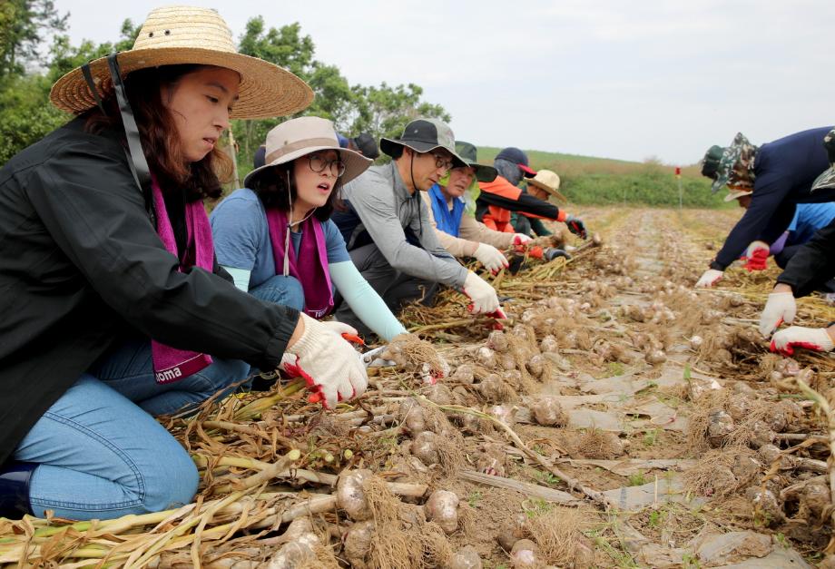 태안군, 농촌 일손 돕기로 ‘현장행정’ 실천 앞장